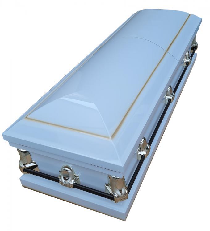 Metal Coffin 1