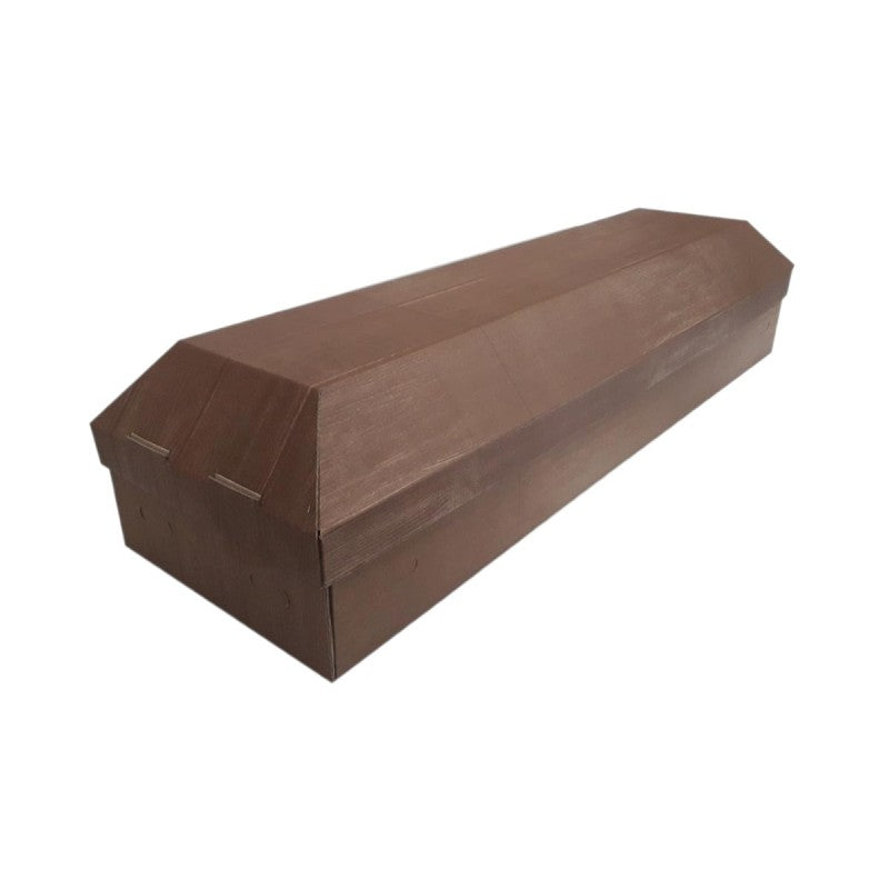 EKO 3 cardboard coffin