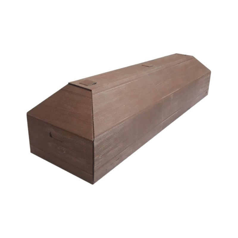 EKO 5 cardboard coffin